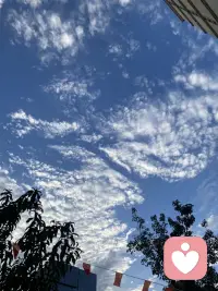 初秋的桂花香，可太喜欢了