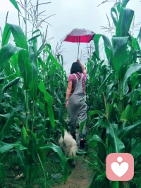 心若负重，久了便会疲惫。
允许自己倾诉，也是善待自己。
听雨斋，静候叙心，认真听见你的每一份情绪。
#情绪陪伴 #静心倾听