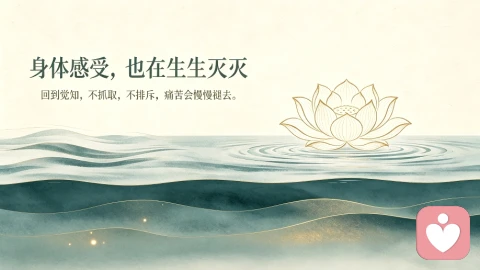 痛苦不会一直停留,学会安住感受