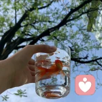 一个不务正业的品酒师的头像