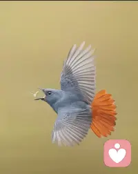 感激生活的赐予，而不贪心