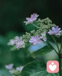 生活的本质是变化，而人类的本性是抗拒变化