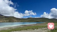 今天陪一个朋友聊到凌晨。
她不是说要答案，只是想有人回一句：“你这样已经很不容易了。”
原来被听懂，本身就有治愈力。