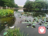 今天成功接收受了第一位访问者，沟通很顺畅，很感谢对方的信任和支持，我也会继续把专业的知识和正确的价值观传递下去，也希望有更多需要帮助的人，愿意行动起来，找我交流沟通，我们共同进步，拥抱美好未来！
