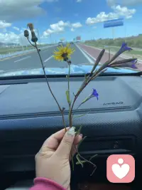 你好，我是妍妍姐做心理倾听。
你不用有趣、不用逻辑清楚、不用先道歉“我是不是太烦”。
这里允许你丧、允许你哭、允许你骂生活。
我不一定给你答案，但会认真听你。