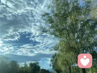 今天很感动，姐妹相约，吃饭，聊天，散步，值得