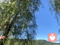 今天很感动，姐妹相约，吃饭，聊天，散步，值得