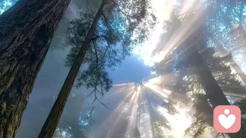 关系的价值：借他人，照见自己