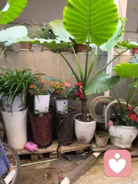 允许自己难过、允许自己脆弱，也是一种力
不评判｜不建议｜只倾听