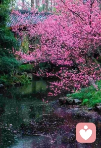 尊重边界，彼此舒服，就是最好的状态！