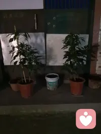 尊重边界，彼此舒服，就是最好的状态！