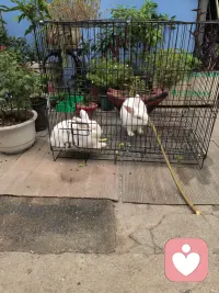 心情有点乱糟糟，
很多事，到最后不过是释然。
不必强求所有人理解，自己心安就够。
愿往后，少点内耗，多点欢喜🌿