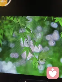 赴一场国庆烟火，守一份内心安

，