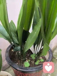 清晨的风很轻，新的一天，慢慢感受生，，