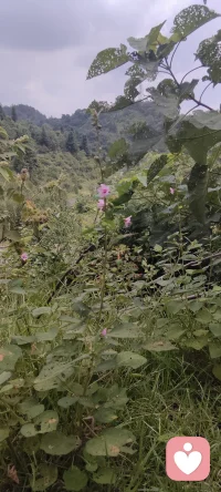 现在睡不着，有还没睡着的朋友吗？挣点跑路费