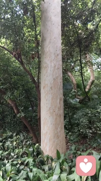 完美世界，不完美的爱情，愤怒吧？我的意思