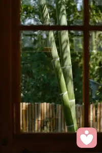事情是证据  实际发生的事情，情绪是不满的表达和不甘心。想剥离情绪的内耗，那就去看清事实。