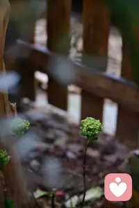 你的执念是什么？