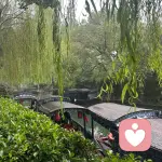 吾悦心灵驿站001的头像