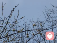 我们的焦虑，
恰恰来自于总想抓住一切确定感，
却忘了生活本身就充满了流动与不确定。