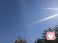 人所拥有的任何东西，
都可以被剥夺，
唯独人性最后的自由，也就是在任何境遇中选择自己态度和
生活方式的自由，不能被剥夺。
