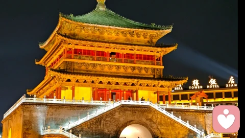 成年人的世界，总有无处诉说的心事。 我做你的专属树洞，接住你的所有内耗与孤单。 慢慢说、慢慢聊、慢慢治愈，全程温暖耐心陪伴✨