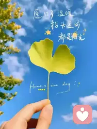 慢慢松绑，自在安宁。光，就在那里。