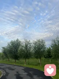 这是我们宁静的家园，是我们心灵停泊的港湾。聆听您的声音，走进你的世界。