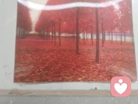 早早的醒了，说什么部睡不着了