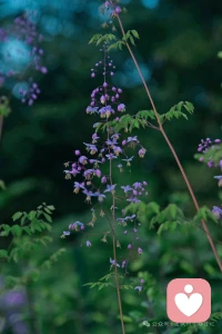 🍃借一抹风景，治愈寻常日子🍀不必奔赴远方，
眼前的风光，就足以抚平疲惫。
收集细碎美好，与生活共勉。
