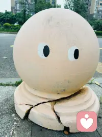 你看到什么？