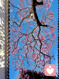 树洞聆听服务，专业倾听家庭、成长、情感、事业、金钱、际遇等生活难题。提供深度倾听、心理疏导、问题分析、合理夸奖等服务，让你你找到问题根源，情绪得以释放。