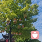 晚秋企鹅🎐的头像
