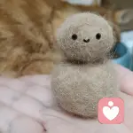安静晚霞🐕的头像