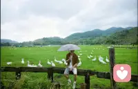 睡不着的，过来聊天，让你恢复心气，状态回满