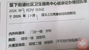 裸辞自由职业日常：办健康证的尴尬与刺绣课的忙碌