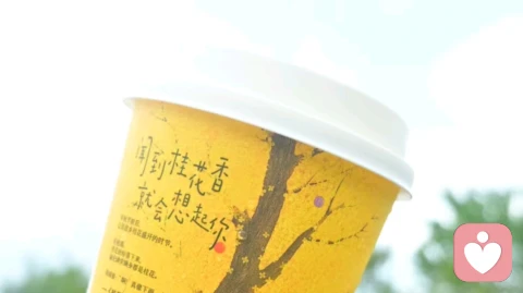 生命的质量，在于弹性