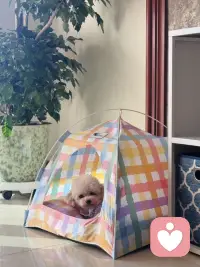 人生的目的是什么呢？
非常简单，
是允许自己做自己。
献给每一个真正爱自己的人！