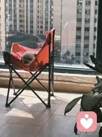 一旦开窍，
就能看清生活的本质，
然后删繁就简，轻装上阵。