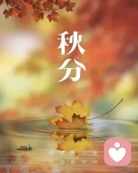 阳光温暖，落叶秋分🍂
生活会有不期而遇的温暖，
也会有如期而至的希望☀️
