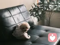 💰赚不到钱的人都是儿童心智

1.习惯性逃避
第一反应永远是闪躲 总想提前抽身
👶童年面对困境无人帮扶潜意识认定难题无解
错失各种机遇

2.渴求即时结果
急于看到回报很难耐心沉淀过程
👶从小缺少正向反馈没有建立成长认知一点波折就容易放弃

3.习得性无助 
心底认定努力无用经常怀疑自身能力
👶从小没有包容关注没人给予肯定与夸奖负能量太大影响进步

4.易燥易怒 
极易被负面感受裹挟情绪压过理性思考
👶幼时没人引导情绪习惯被感受支配行为遇到压力难以冷靜

如果有问题欢迎私信提问🙋🙋‍♀️