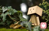 如果人生总是后知后觉，那就在拥有的时候珍惜一切...