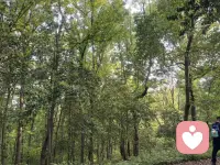很多人分不清倾听师、心理咨询师、心理治疗师、精神科医生，常常不知道自己该找谁。

倾听师，更像是温暖的情绪树洞。主要陪伴倾听，接纳你的喜怒哀乐，帮你疏导积压的情绪，不做诊断，不开药，不做治疗。

心理咨询师，聚焦内心模式，帮你解开人际、家庭带来的心结，调整看待事情的方式。

心理治疗师隶属于医疗体系，针对程度更深的心理困扰开展专业心理治疗。

而精神科医生拥有医学资质，可以做疾病诊断、开具药物。

情绪不舒服没有对错，选对适合自己的支持，才最重要✨