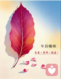 周一晨光如约而至，不必焦虑慌张，按自己的节奏前行，微小的坚持也会积攒光芒