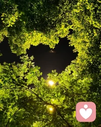 夜深人静，手机屏幕亮了又暗。你是不是也在这样的夜里，翻来覆去睡不着？

白天你可以是那个雷厉风行的职场人，是朋友眼中永远乐观的开心果。可一到深夜，那些被压下去的情绪就像潮水一样涌上来——他今天回消息的语气是不是冷淡了？那段感情到底哪里出了错？为什么明明那么努力，还是留不住一个人？

你试过跟朋友说，可他们总说“别想太多”“会过去的”。你试过发朋友圈，又觉得矫情，发了又删。最后你只能把所有话咽回去，一个人熬。

其实你知道吗？深夜的焦虑，不是因为你不够坚强。是夜晚太安静了，安静到能听见心里那道伤口还在轻轻裂开的声音。是白天你太懂事了，懂事到把自己都忘了。

感情里最折磨人的，从来不是大吵大闹，而是这种说不清道不明的失落。你甚至不敢承认自己难过，因为好像“没什么大事”。可就是这些小事，一点一点啃噬着你的心。

我是倾听师~深知。我不劝你“别难过”，不跟你说“下一个更好”。我只想在这个寂静的夜里，陪你坐一会儿。你可以跟我说说那个让你失眠的人，那段让你反复琢磨的对话，或者就是单纯地、毫无理由地难过。

有些心事，说出来了，就没那么重了。

需要的时候，我在这里。点开连麦，让我听见你的声音。夜很深，但你不必一个人走。