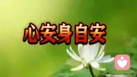 别过度紧盯自己的身体，心安身自安。稍有不适，就疯狂上网搜索各种健康词条，往往只会越查越恐慌，徒增内心的焦虑。
 
不妨在心里悄悄告诉自己：我很健康。分享三条缓解身心焦虑的心得。
 
第一，停止过度自我诊断。

内心容易焦虑的人，很难客观看待身上的不适，总忍不住对号入座、搜寻各种病症，越查越害怕，最终陷入恶性循环。身体即便有些难受，也别随意脑补最坏的结果。少刷碎片化的健康信息，稳住心态，保持冷静。
 
第二，不要再和身体的症状对抗。

一旦哪里不舒服，就拼命想消除它、追求百分百舒适，往往适得其反。你越是紧抓不放、强迫控制，躯体感受反而越强烈，焦虑也随之加重。试着接纳当下的感受，顺其自然，放松下来，很多不适反而会慢慢淡化。
 
第三，守住积极心态，坚持规律健康的生活。

心念影响身体，身体也会反过来滋养情绪。身心本为一体，少一点惶恐内耗，多一份松弛坦然，便是最好的自愈。
 
很多时候困住我们的，不是病痛本身，是胡思乱想带来的精神枷锁。允许身体有小波动，允许生活有不确定。好好吃饭，好好睡觉，心安定了，身心自会健康。