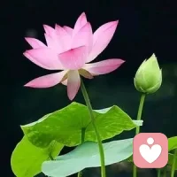 人生这一辈子一定要好好照顾自己，少生气 莫计较 赢了世界又怎么样？其实除了健康 什么都不是你的 。管理好你的心情 认真过好每一天！