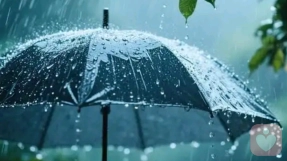 在平静的绝望中继续生活