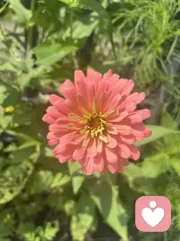 阳光明媚☀️