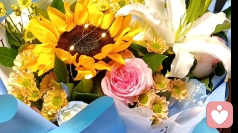 如果你的前半生过得一塌糊涂，那你的后半生一定要重新洗牌，找回那个当初的自己。